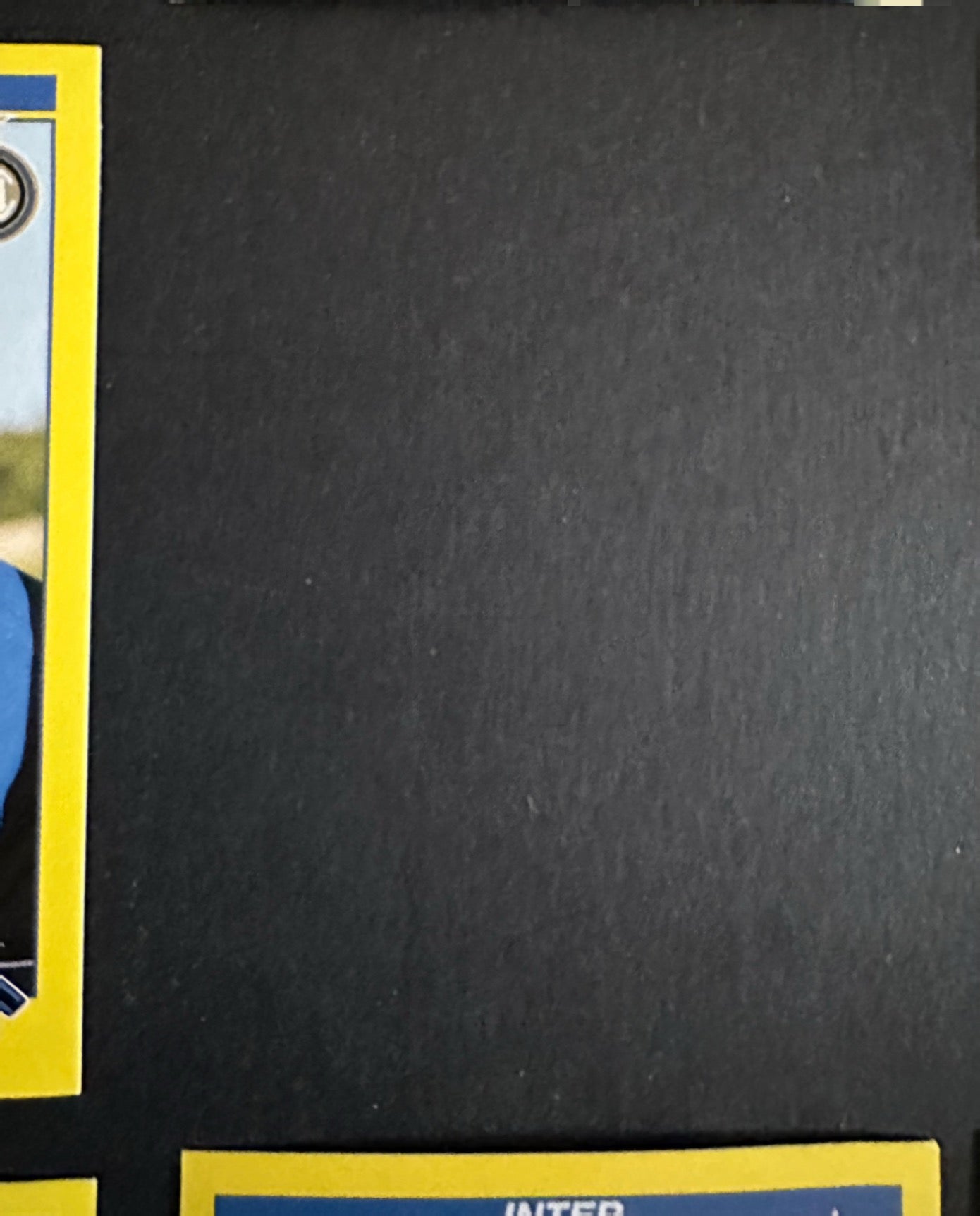 Calciatori Panini 2009/10 mancolista - Scegli figurina da 201 a 300