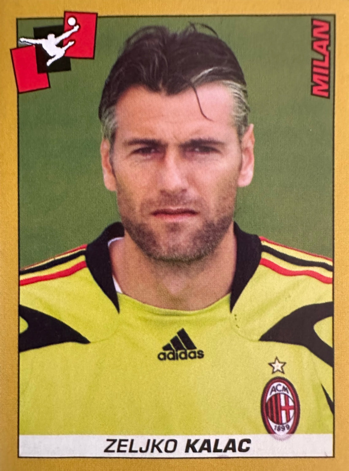 Calciatori Panini 2007/08 mancolista - Scegli figurina da 201 a 300