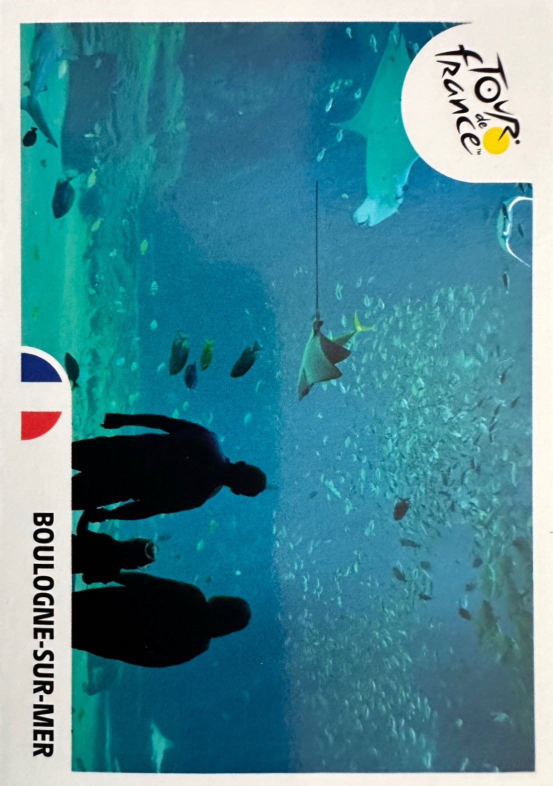 Tour de France 2025 Panini mancolista - Scegli figurina da 1 a 100
