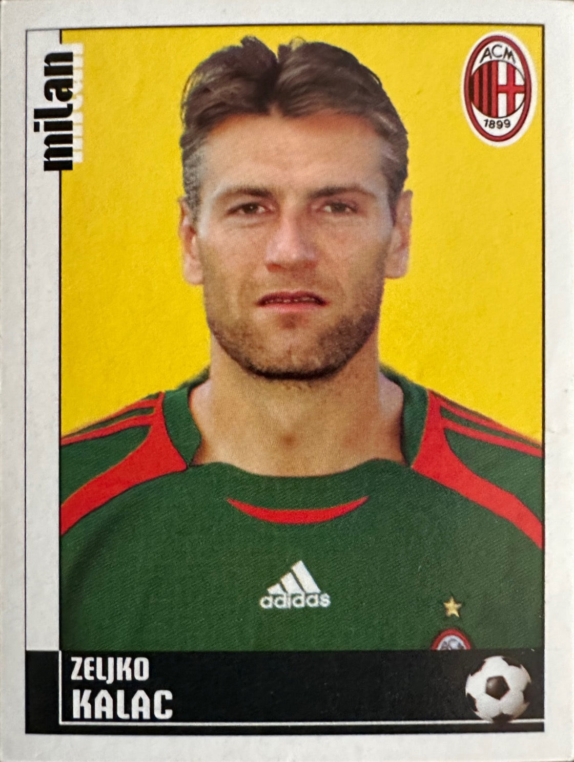 Calciatori Panini 2006/07 mancolista Scegli figurina da 201 a 300