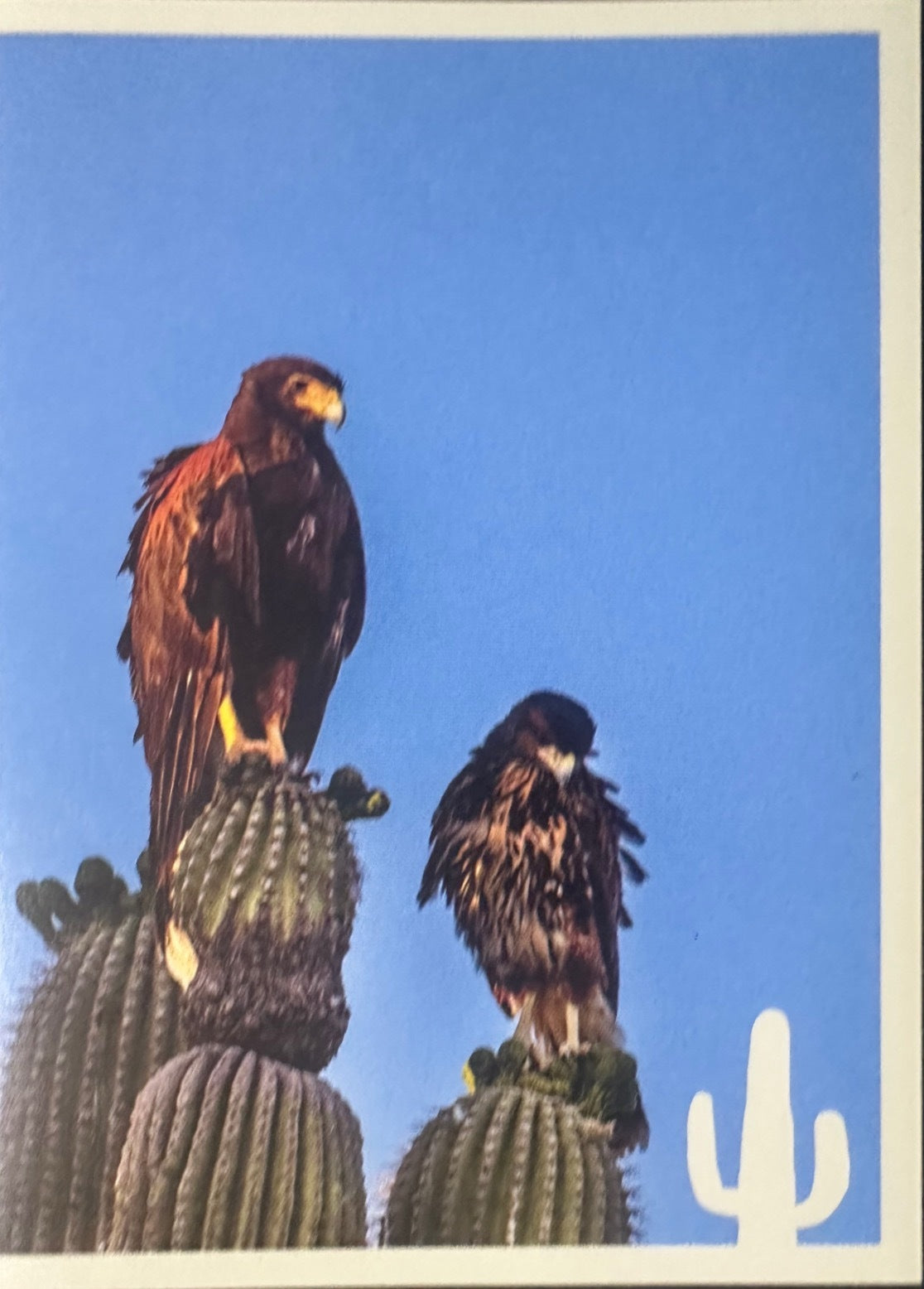 Panini Noi Animali L’unione fa la forza – Figurine singole a scelta 1-100