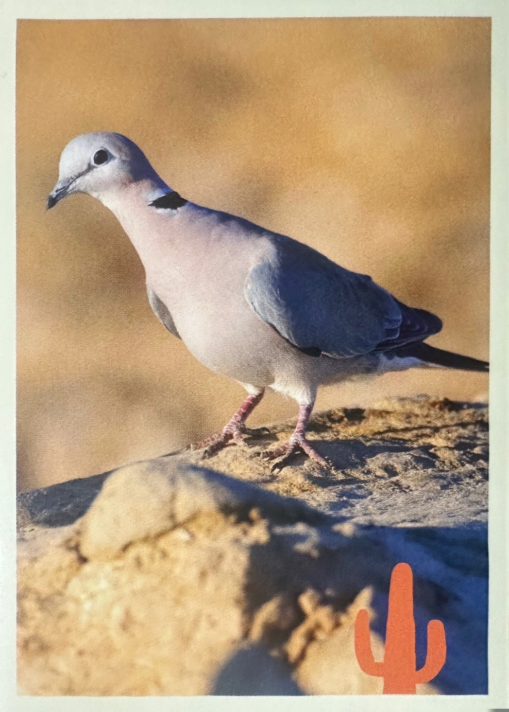 Panini Noi Animali L’unione fa la forza – Figurine singole a scelta 1-100
