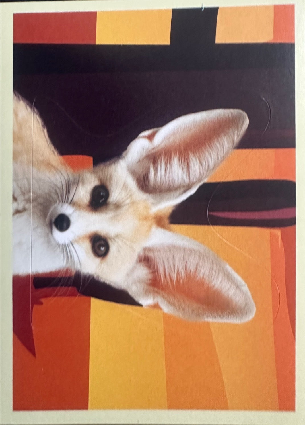 Panini Noi Animali L’unione fa la forza – Figurine singole a scelta 1-100