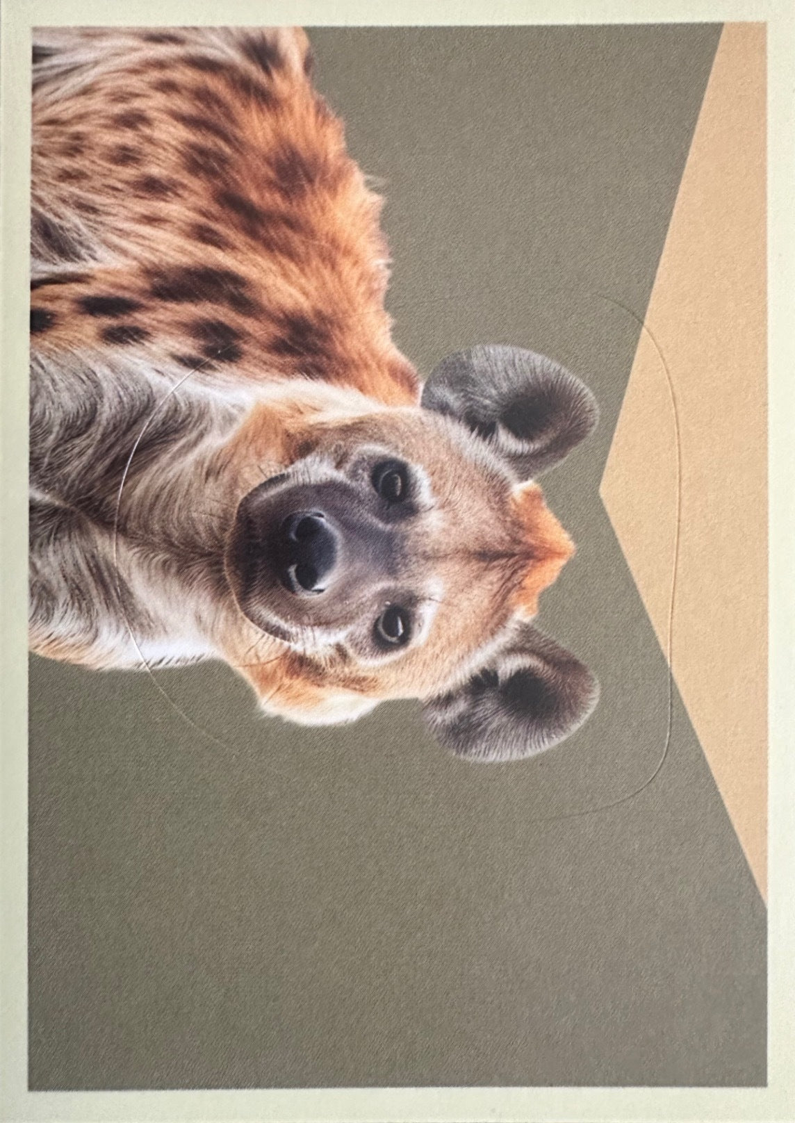 Panini Noi Animali L’unione fa la forza – Figurine singole a scelta 1-100