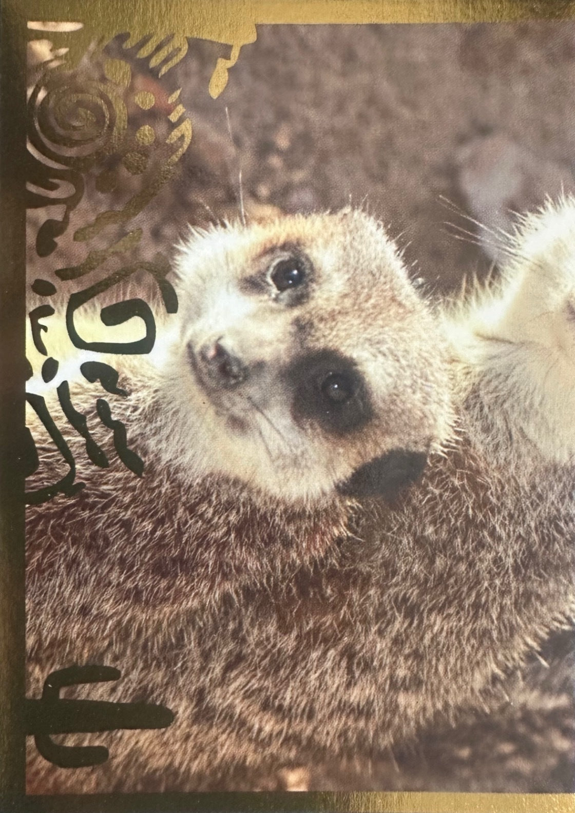 Panini Noi Animali L’unione fa la forza – Figurine singole a scelta 1-100