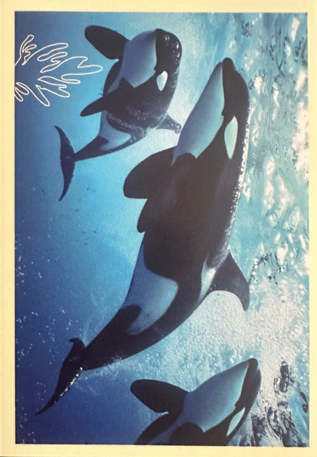 Panini Noi Animali L’unione fa la forza – Figurine singole a scelta 1-100