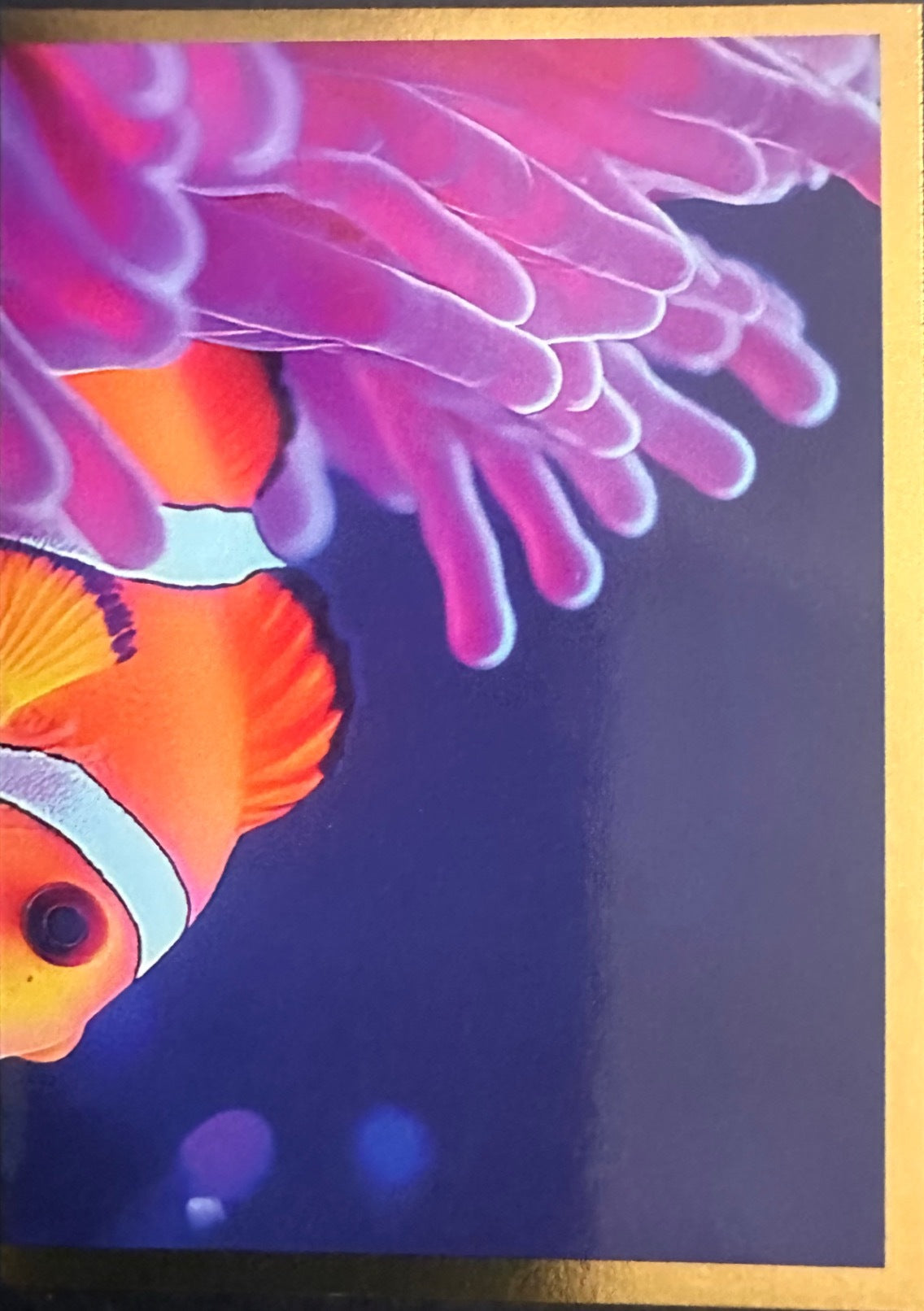 Panini Noi Animali L’unione fa la forza – Figurine singole a scelta 1-100