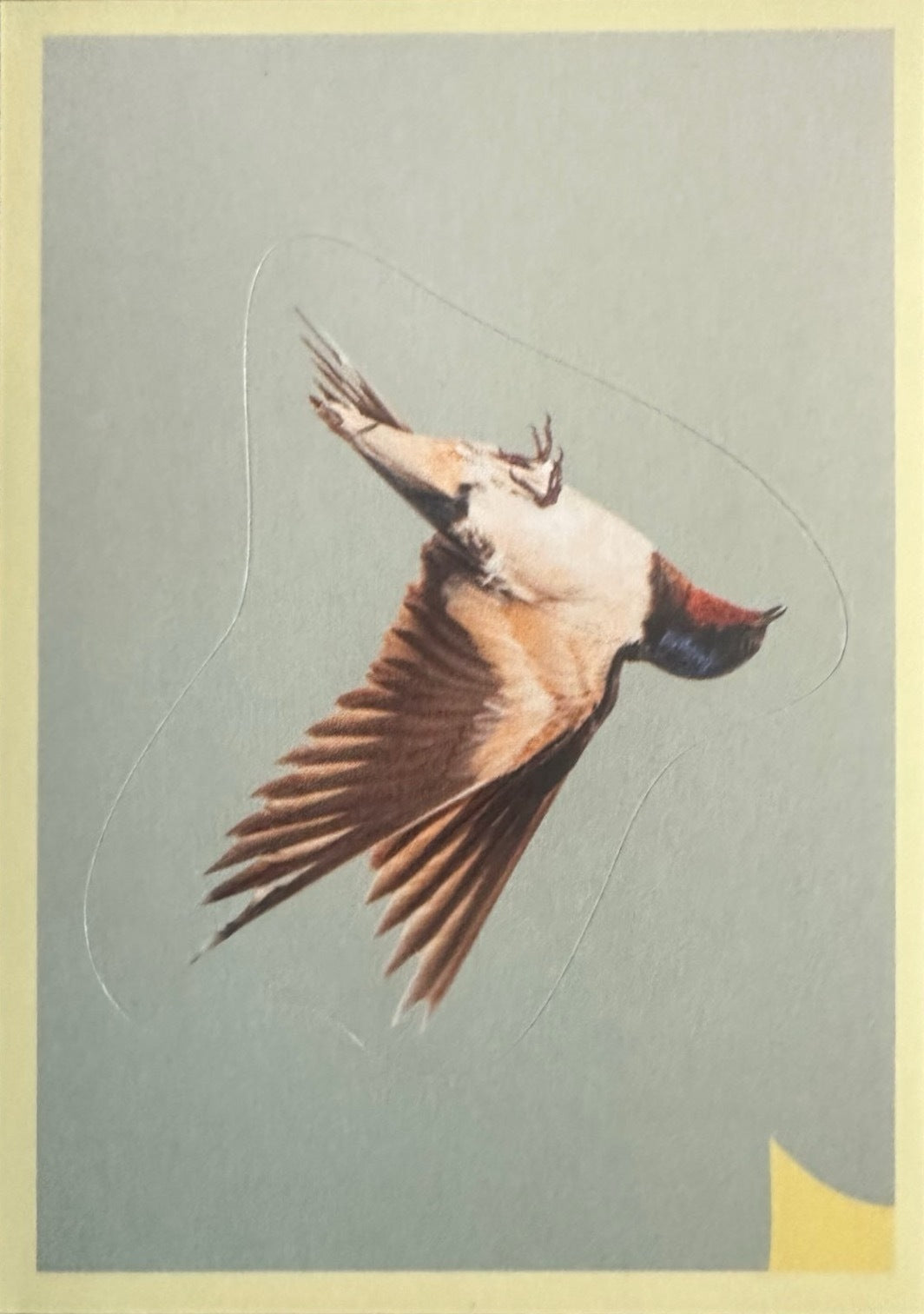 Panini Noi Animali L’unione fa la forza – Figurine singole a scelta 1-157 X1-X25