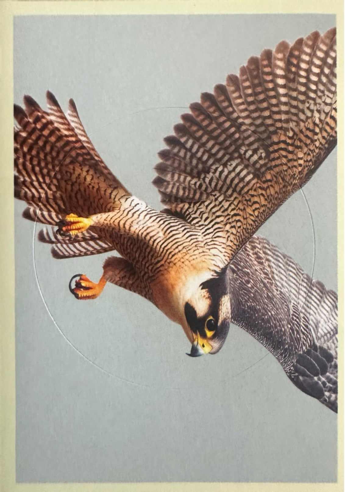Panini Noi Animali L’unione fa la forza – Figurine singole a scelta 1-157 X1-X25