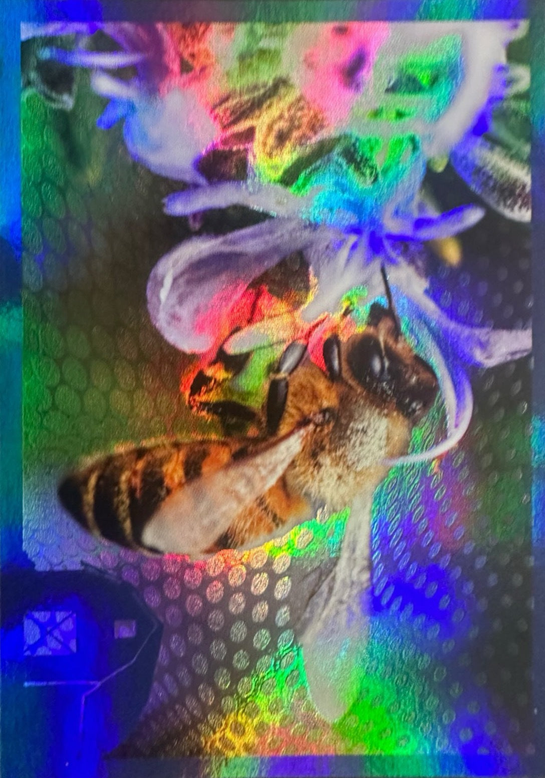 Panini Noi Animali L’unione fa la forza – Figurine singole a scelta 1-157 X1-X25