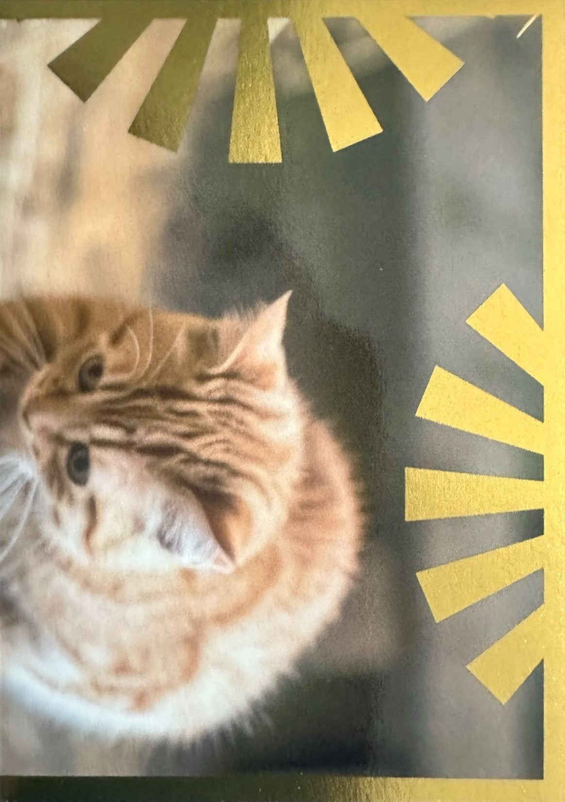 Panini Noi Animali L’unione fa la forza – Figurine singole a scelta 1-157 X1-X25