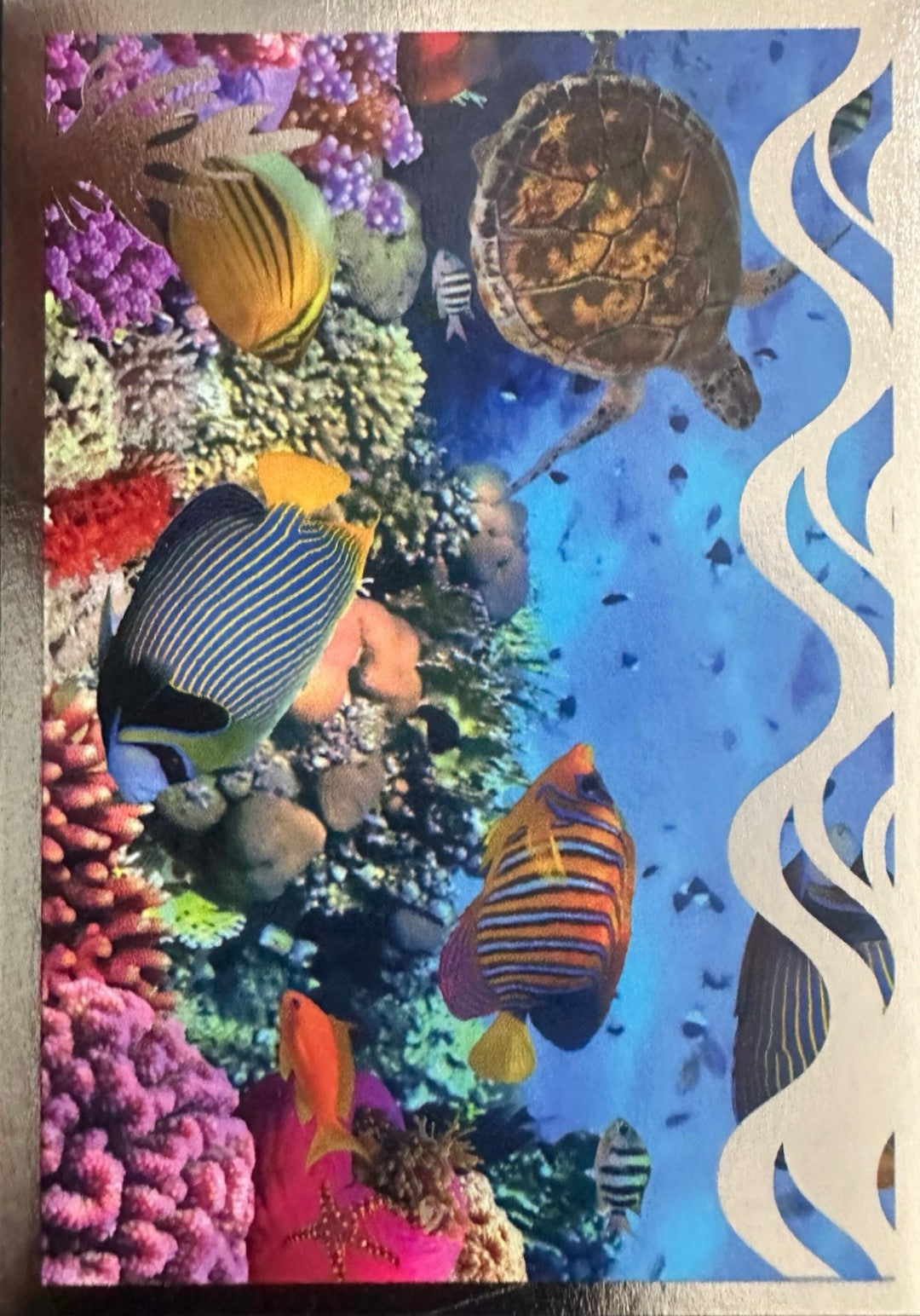 Panini Noi Animali L’unione fa la forza – Figurine singole a scelta 1-157 X1-X25