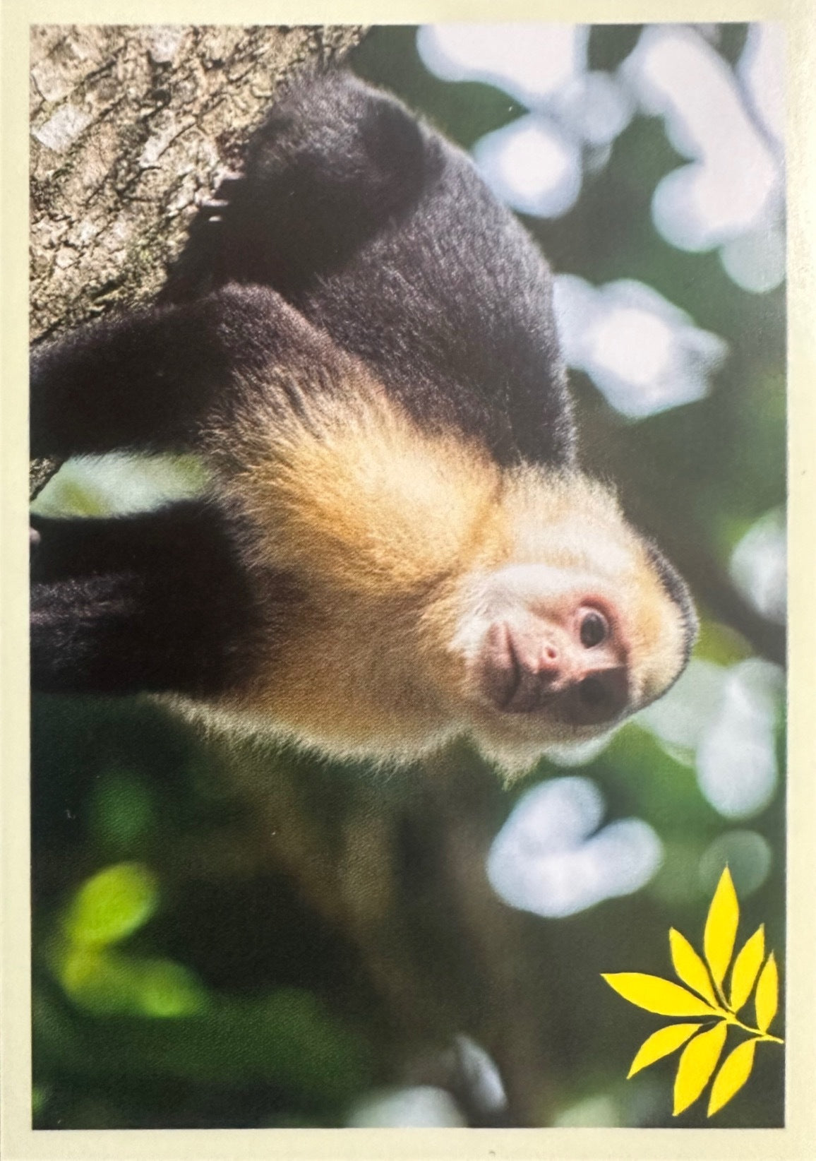 Panini Noi Animali L’unione fa la forza – Figurine singole a scelta 1-100