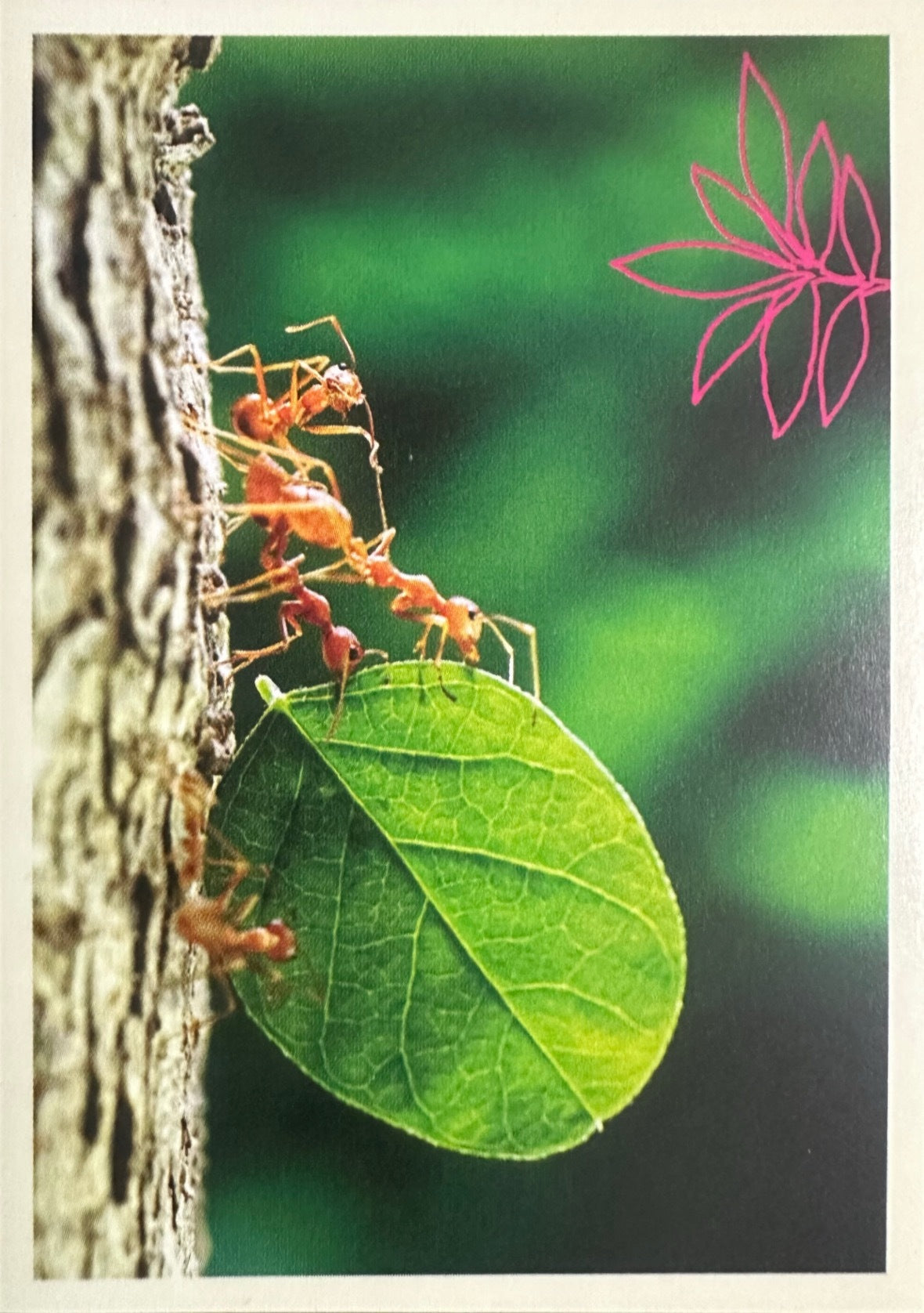 Panini Noi Animali L’unione fa la forza – Figurine singole a scelta 1-100