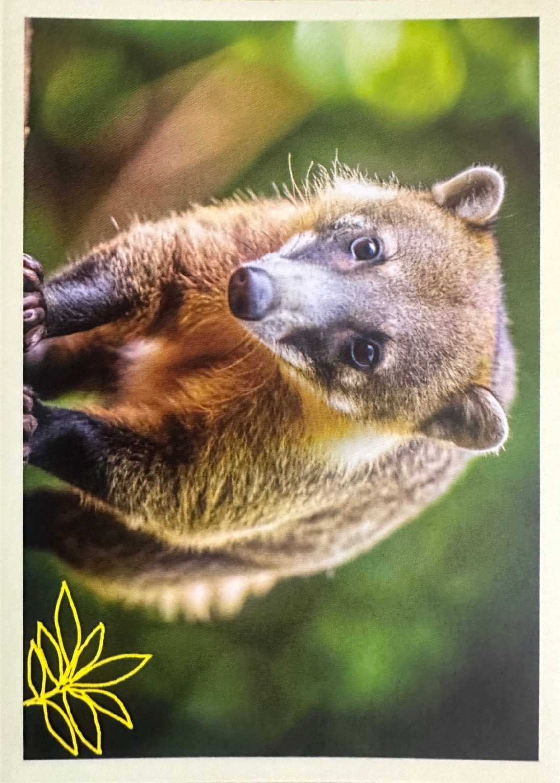 Panini Noi Animali L’unione fa la forza – Figurine singole a scelta 1-100