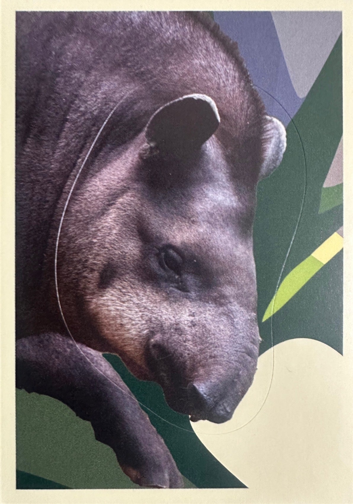 Panini Noi Animali L’unione fa la forza – Figurine singole a scelta 1-100