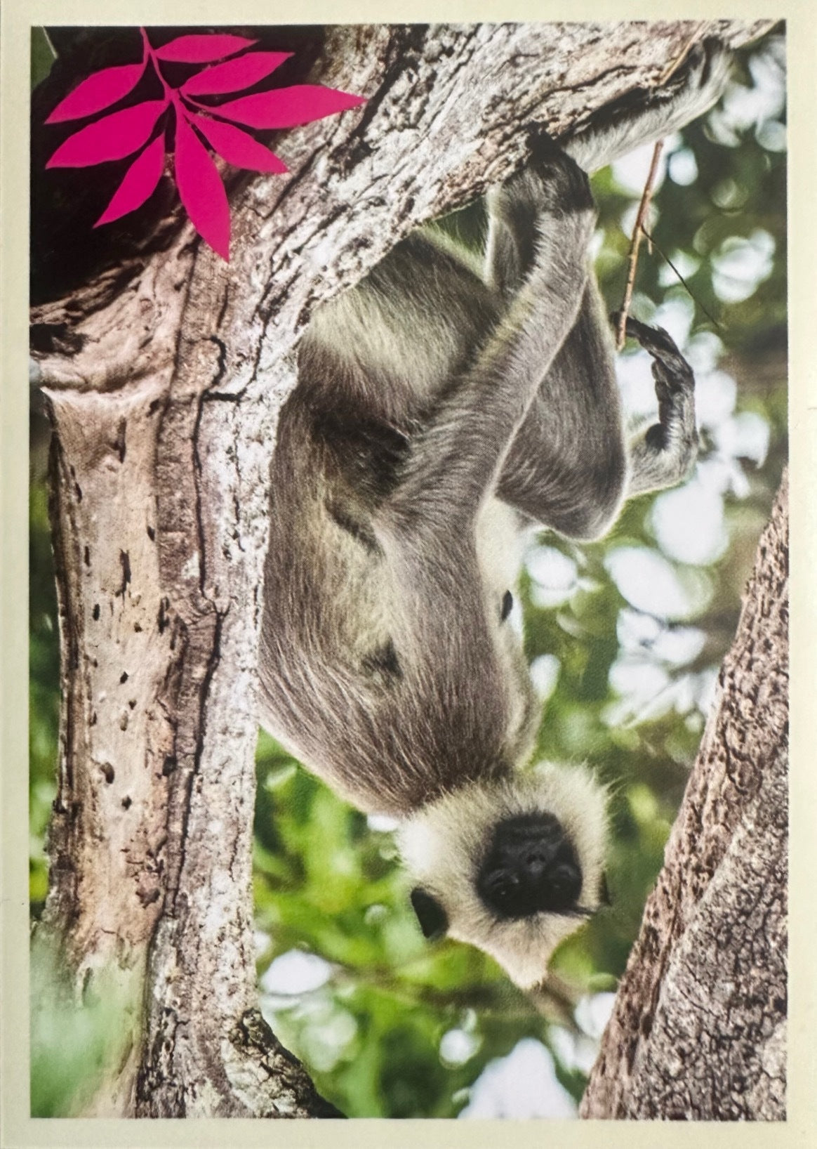 Panini Noi Animali L’unione fa la forza – Figurine singole a scelta 1-100