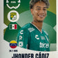 Fifa Club World Cup 2025 mancolista - Scegli figurina da 201 a 300