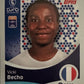 Women's Euro 2025 Switzerland - Scegli figurina da 201 a 300