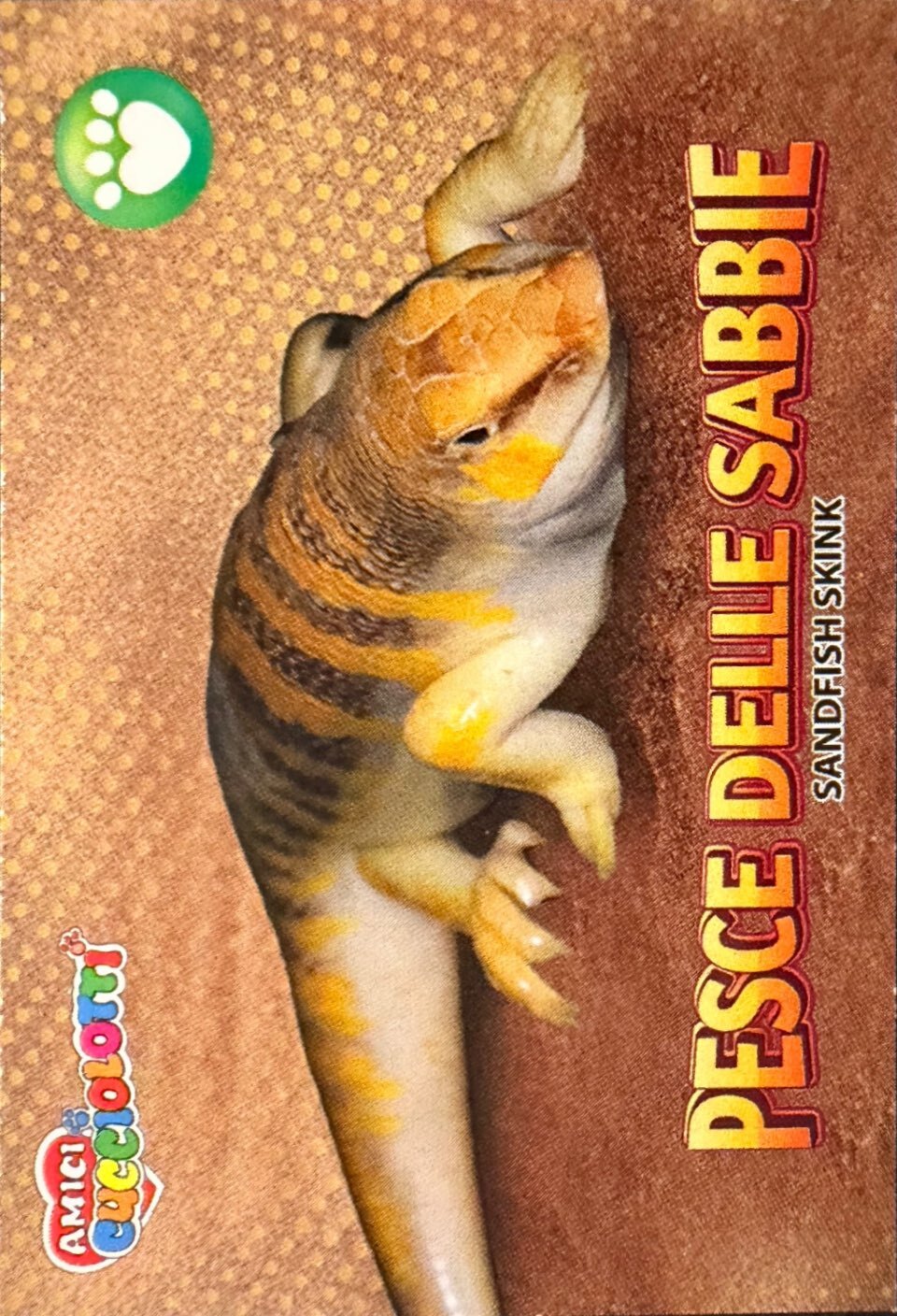 Amici Cucciolotti 2026 Pizzardi Editore - Figurine a Scelta 1-250