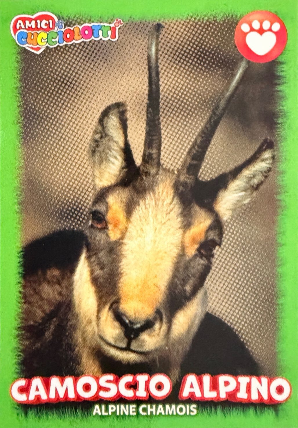 Amici Cucciolotti 2026 Pizzardi Editore - Figurine a Scelta 1-250