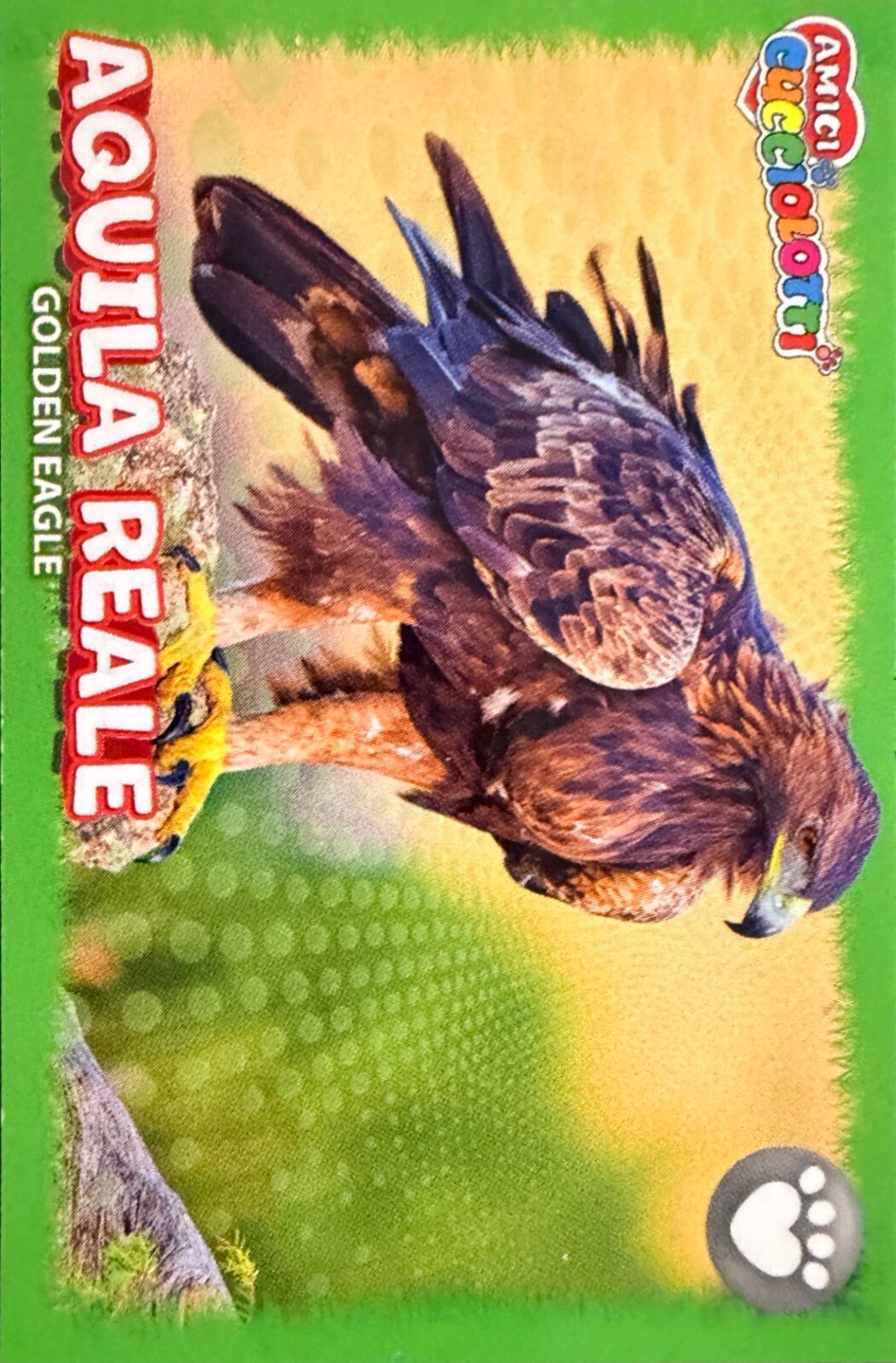 Amici Cucciolotti 2026 Pizzardi Editore - Figurine a Scelta 1-250