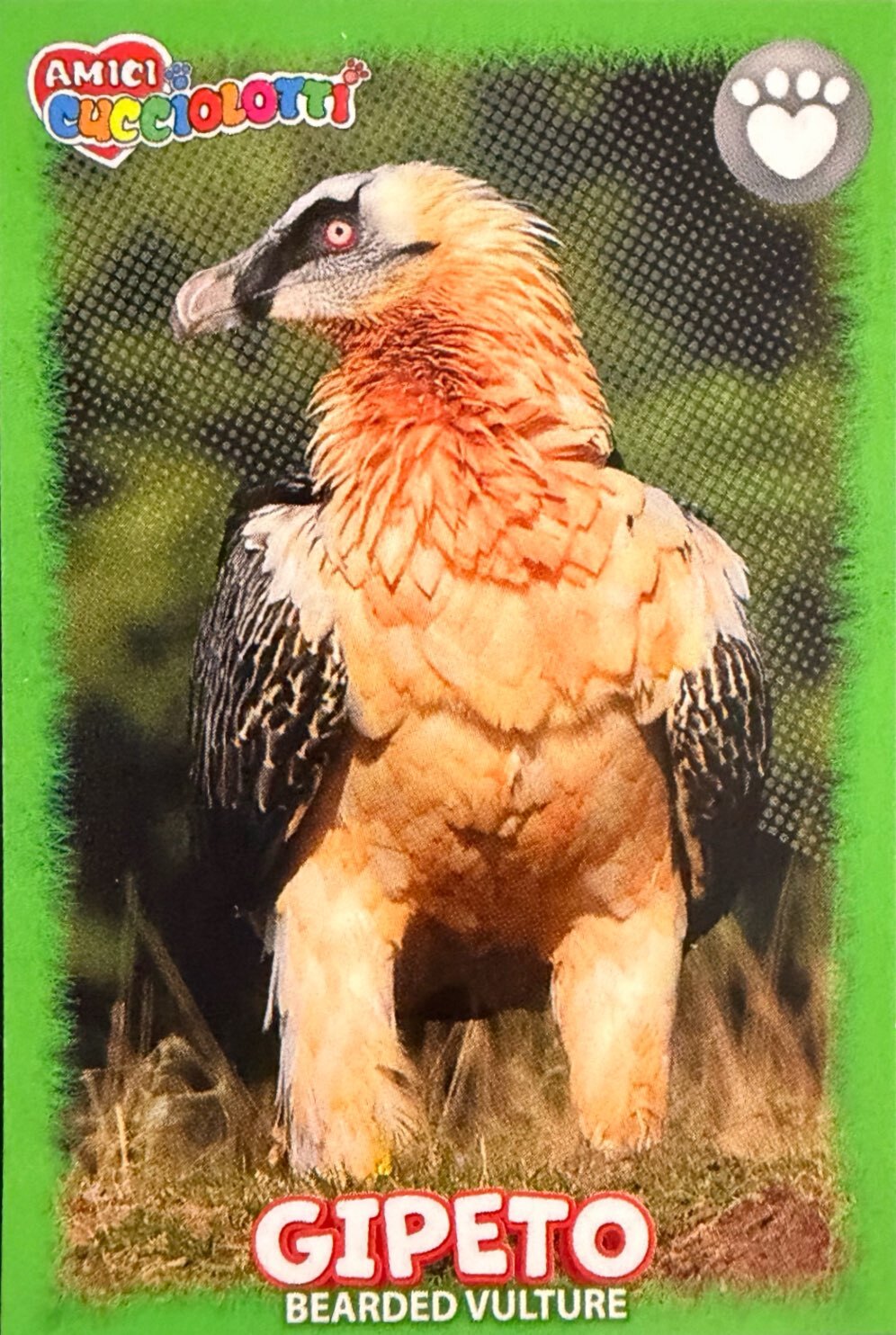 Amici Cucciolotti 2026 Pizzardi Editore - Figurine a Scelta 1-250