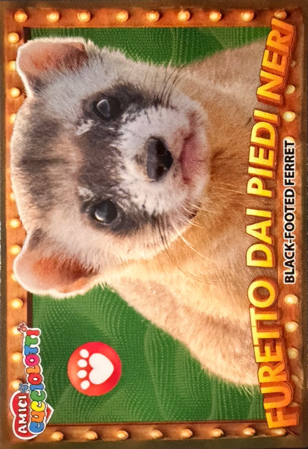 Amici Cucciolotti 2026 Pizzardi Editore - Figurine a Scelta 1-250