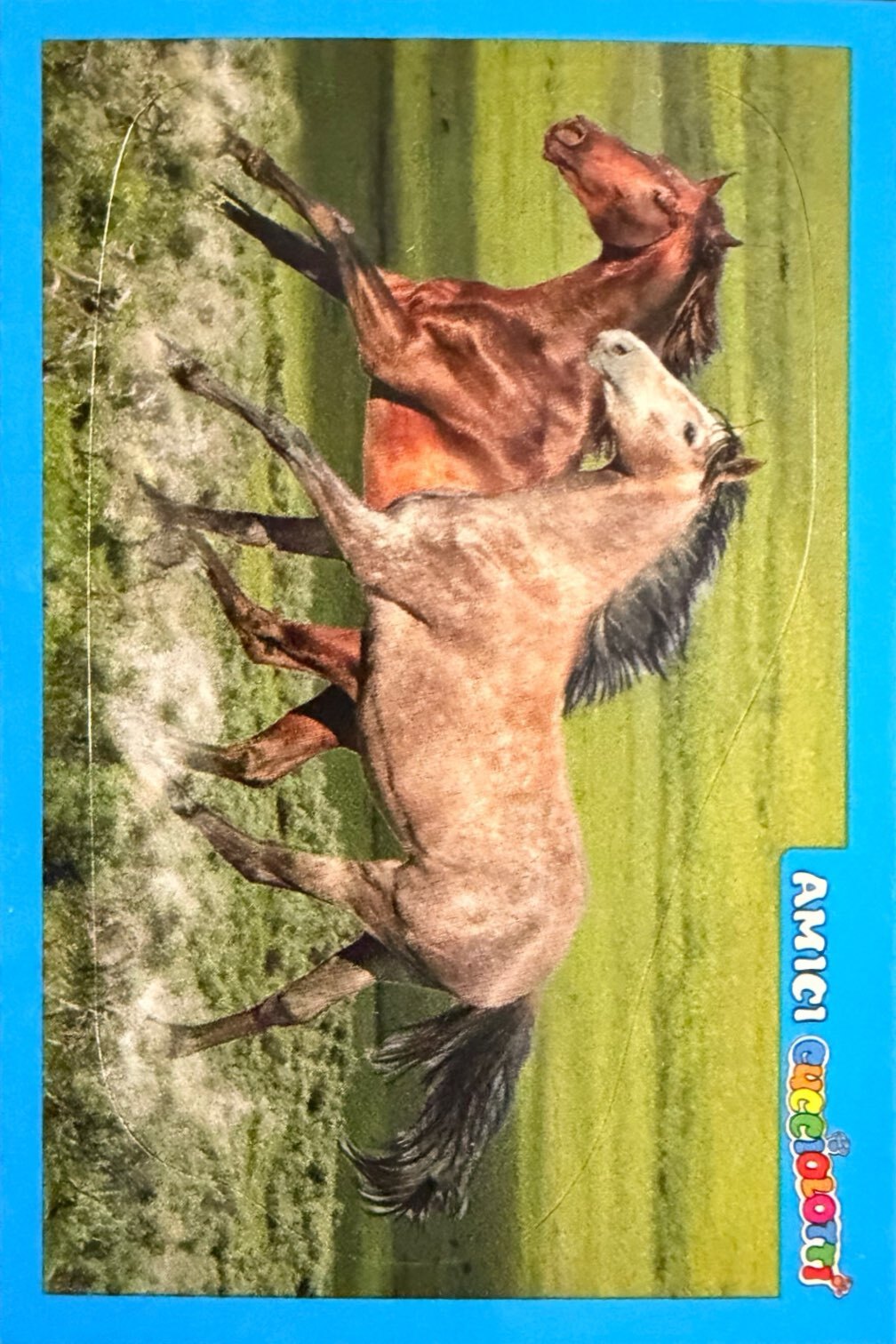 Amici Cucciolotti 2026 Pizzardi Editore - Figurine a Scelta 1-250