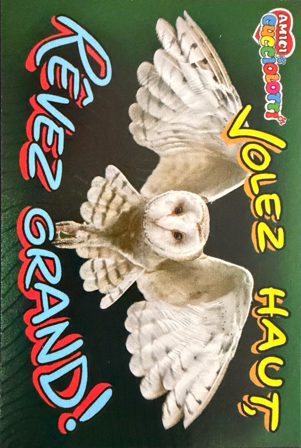 Amici Cucciolotti 2026 Pizzardi Editore - Figurine a Scelta 1-250