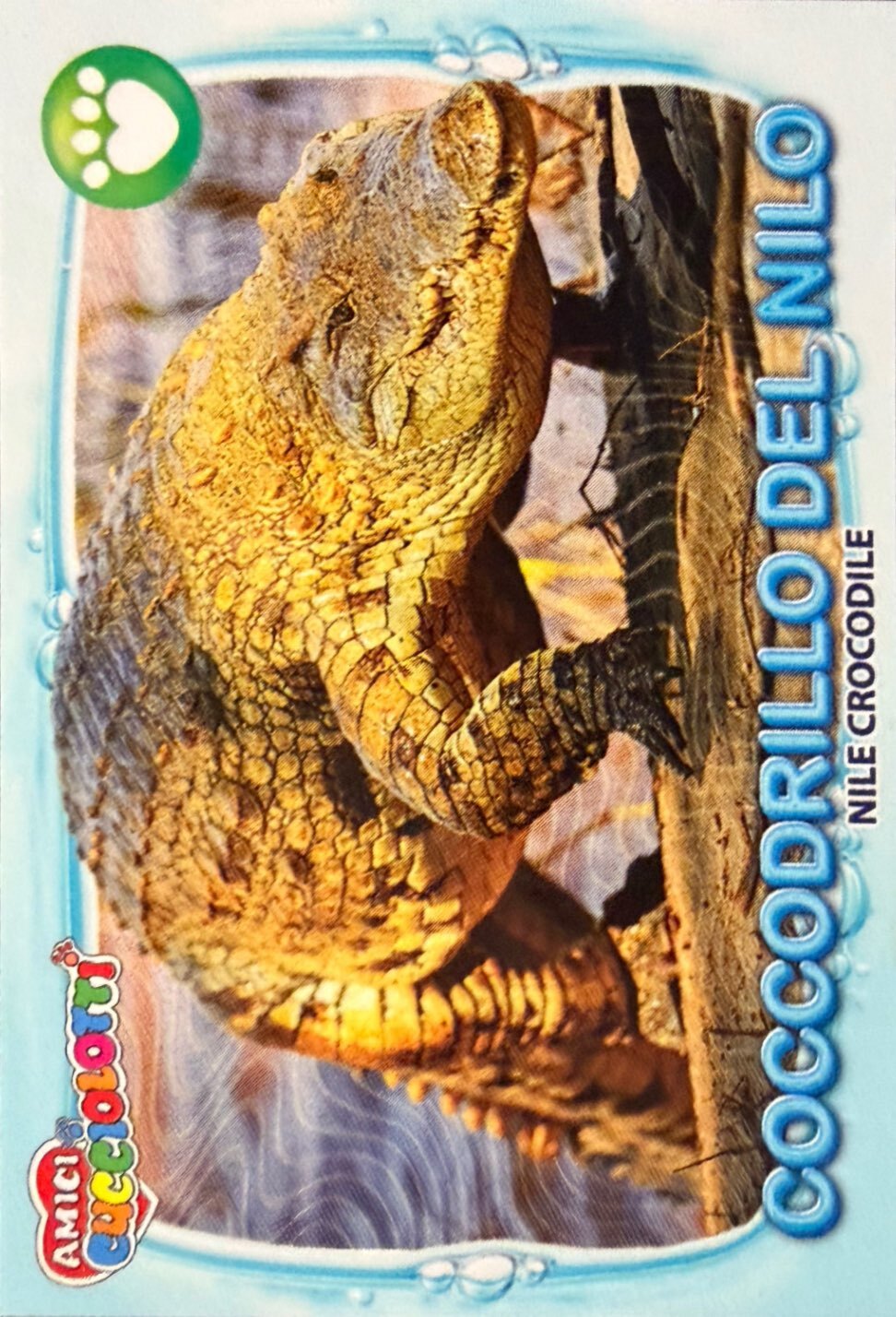 Amici Cucciolotti 2026 Pizzardi Editore - Figurine a Scelta 1-250