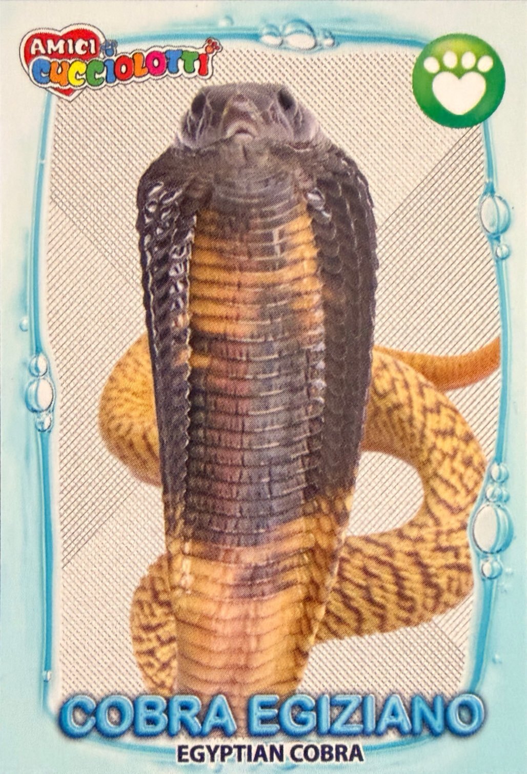 Amici Cucciolotti 2026 Pizzardi Editore - Figurine a Scelta 1-250