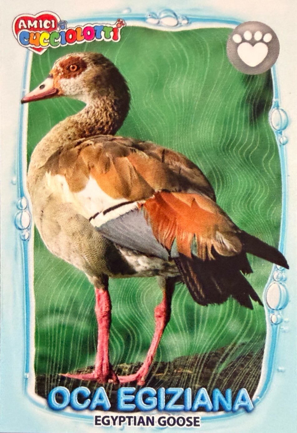 Amici Cucciolotti 2026 Pizzardi Editore - Figurine a Scelta 1-250