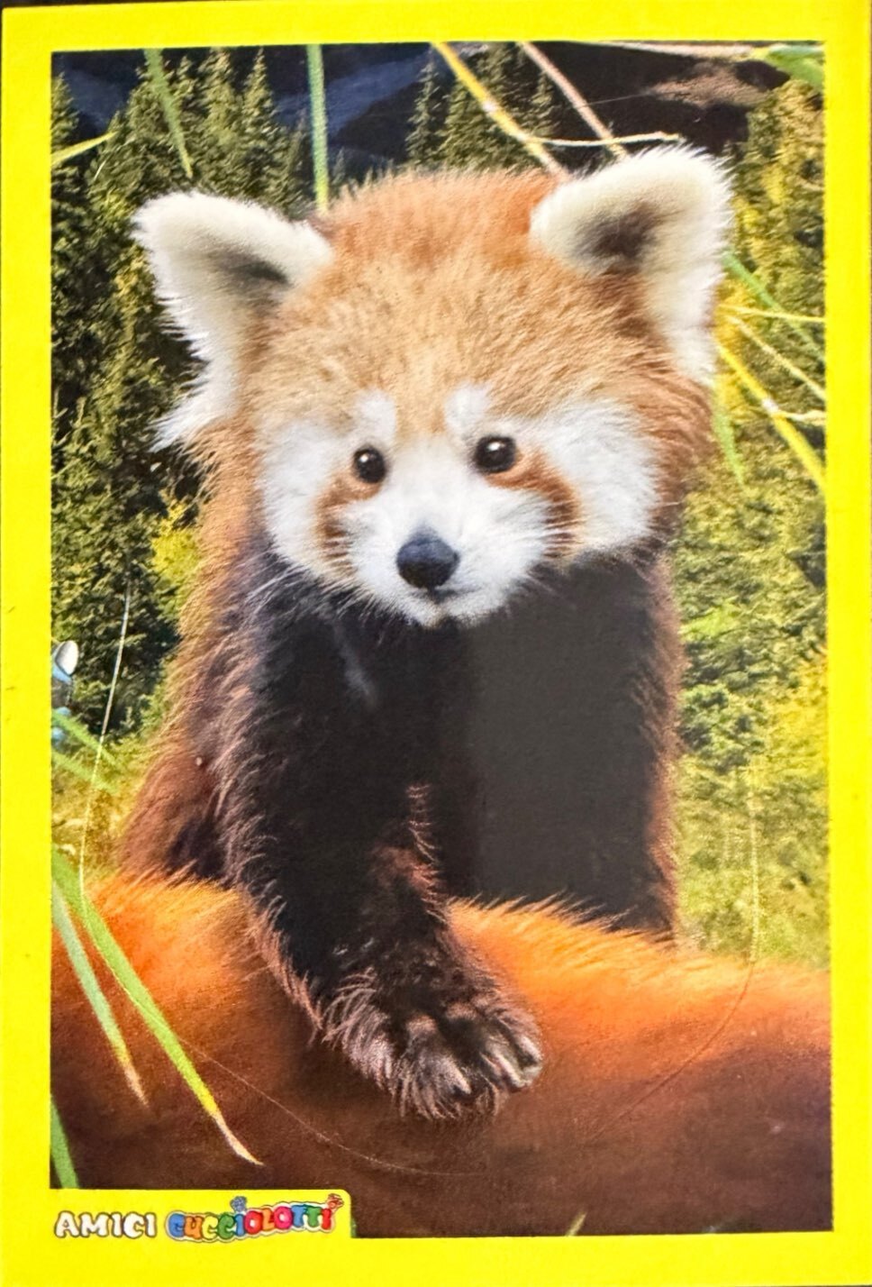 Amici Cucciolotti 2026 Pizzardi Editore - Figurine a Scelta 1-250