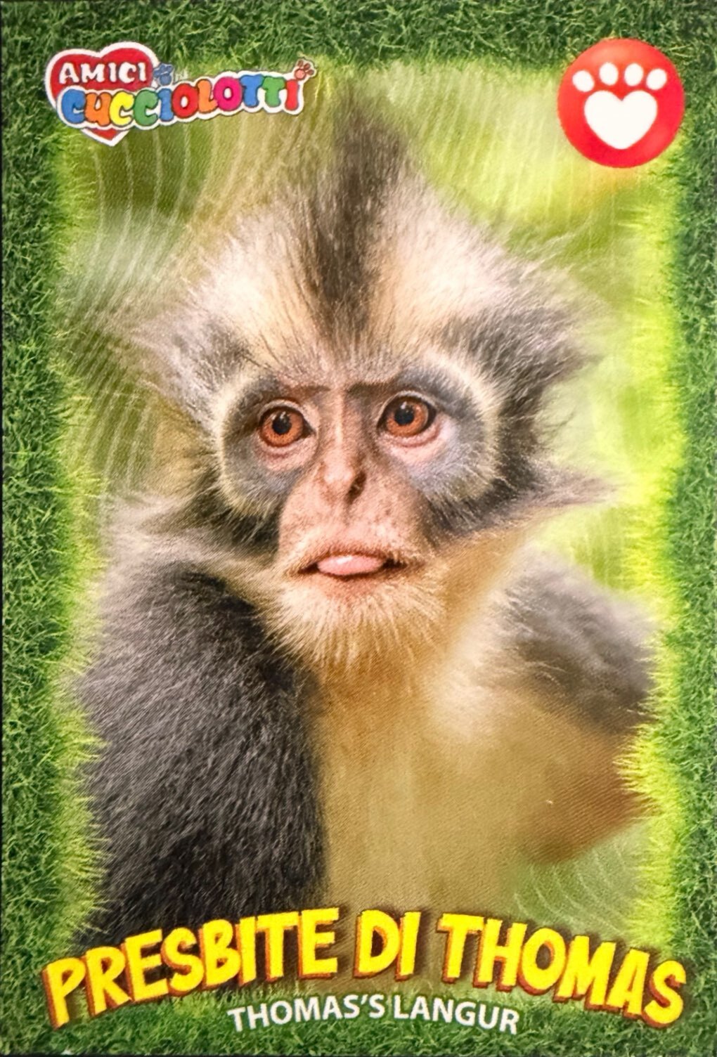 Amici Cucciolotti 2026 Pizzardi Editore - Figurine a Scelta 1-250