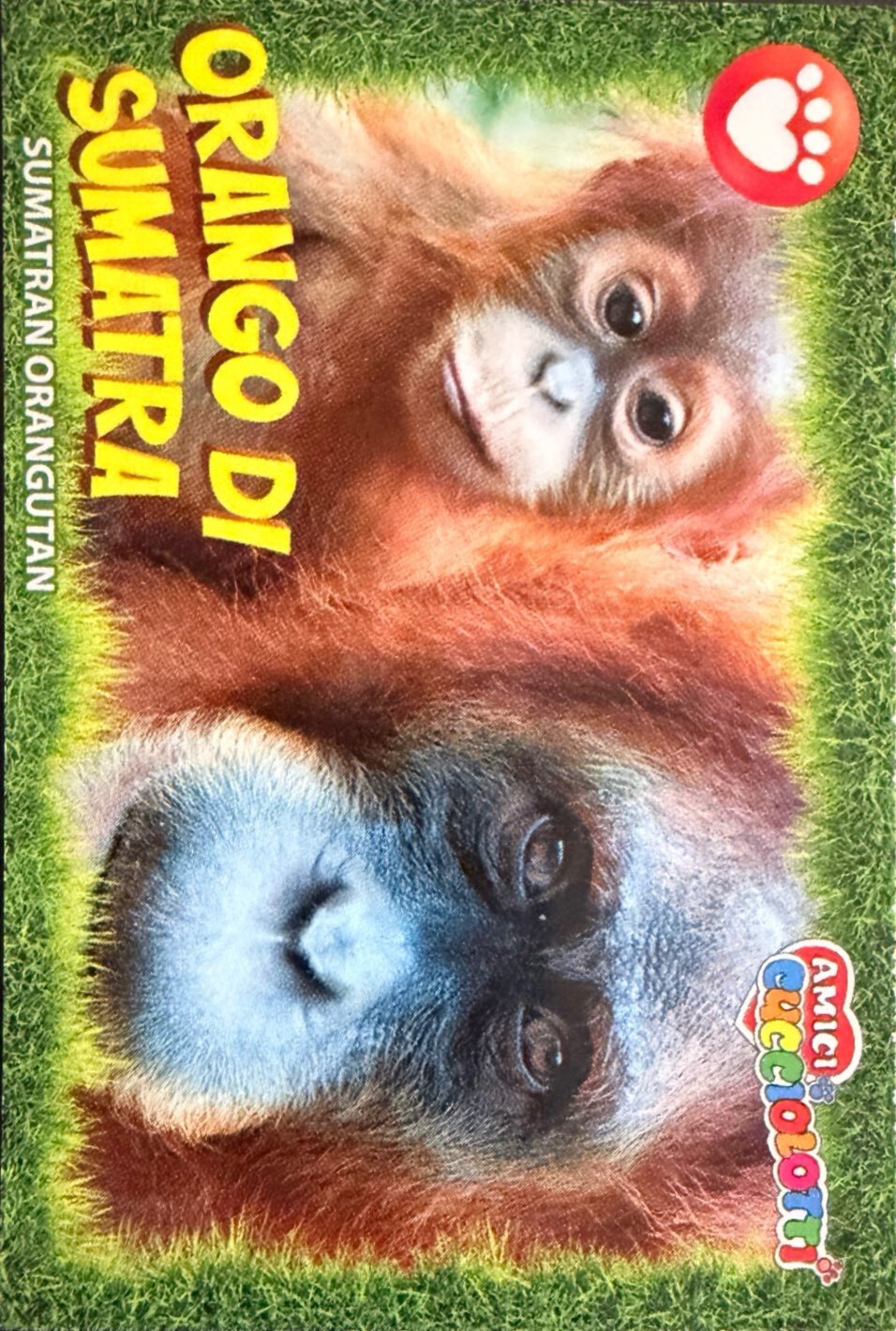 Amici Cucciolotti 2026 Pizzardi Editore - Figurine a Scelta 1-250