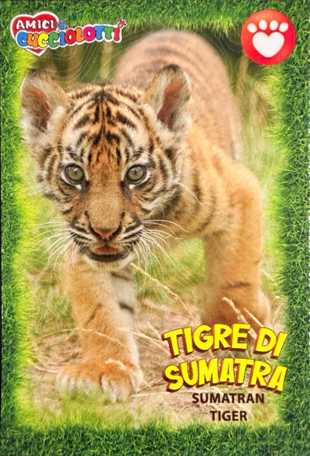 Amici Cucciolotti 2026 Pizzardi Editore - Figurine a Scelta 1-250