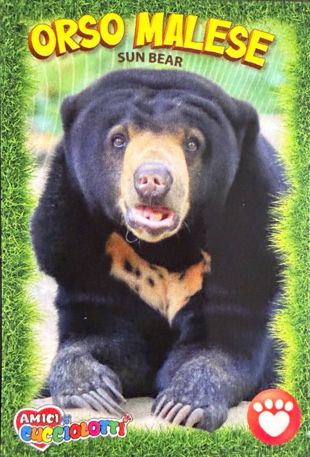 Amici Cucciolotti 2026 Pizzardi Editore - Figurine a Scelta 1-250