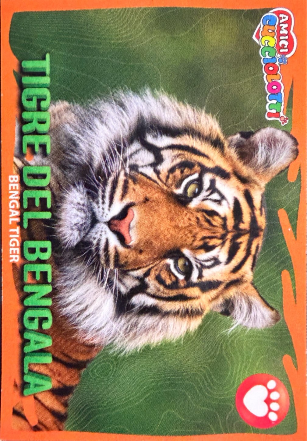 Amici Cucciolotti 2026 Pizzardi Editore - Figurine a Scelta 1-250