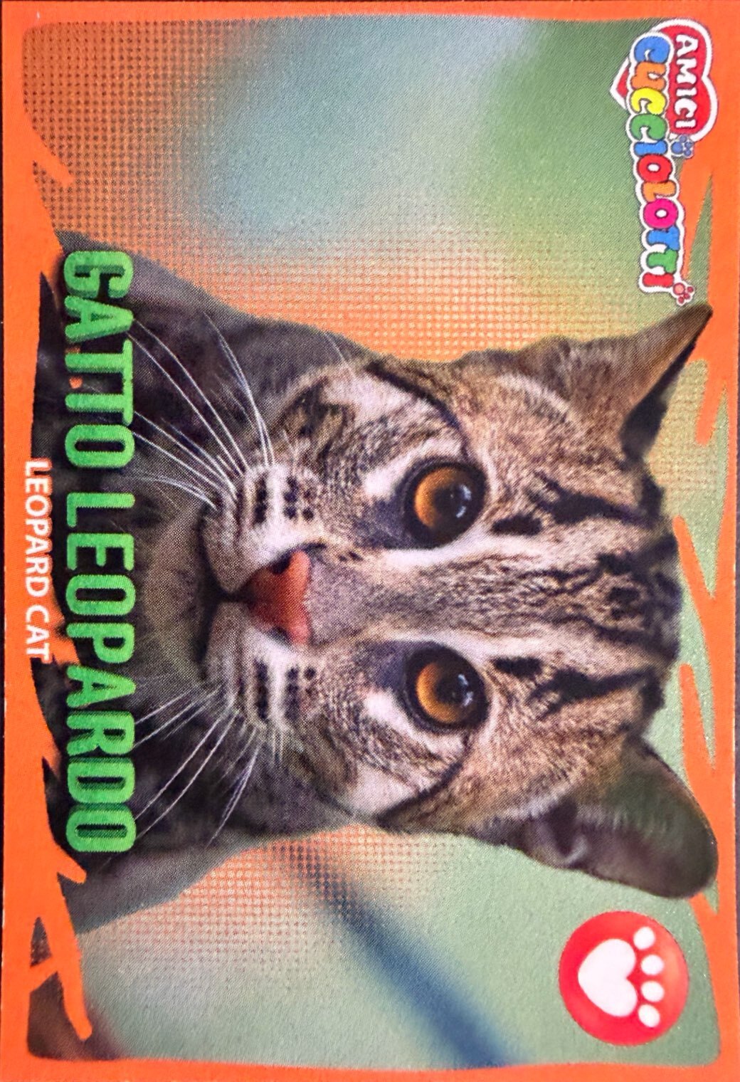 Amici Cucciolotti 2026 Pizzardi Editore - Figurine a Scelta 1-250