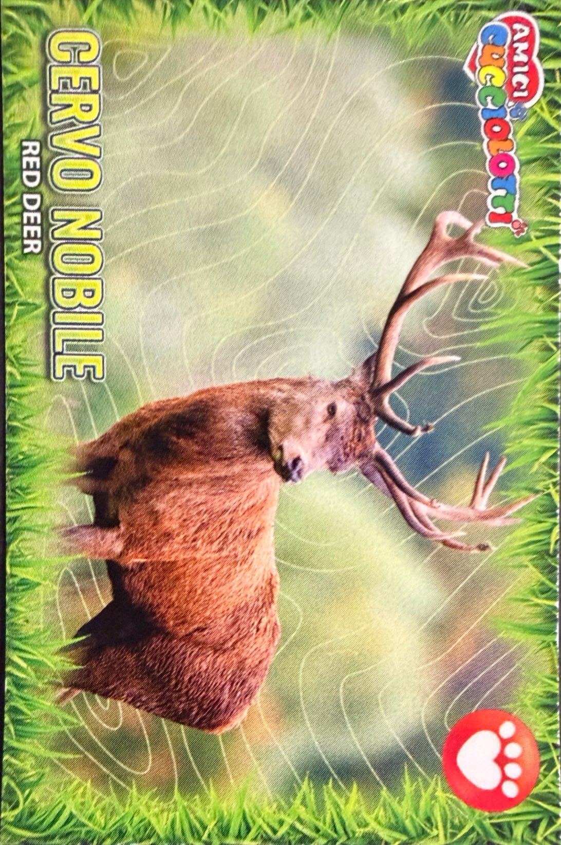 Amici Cucciolotti 2026 Pizzardi Editore - Figurine a Scelta 1-250