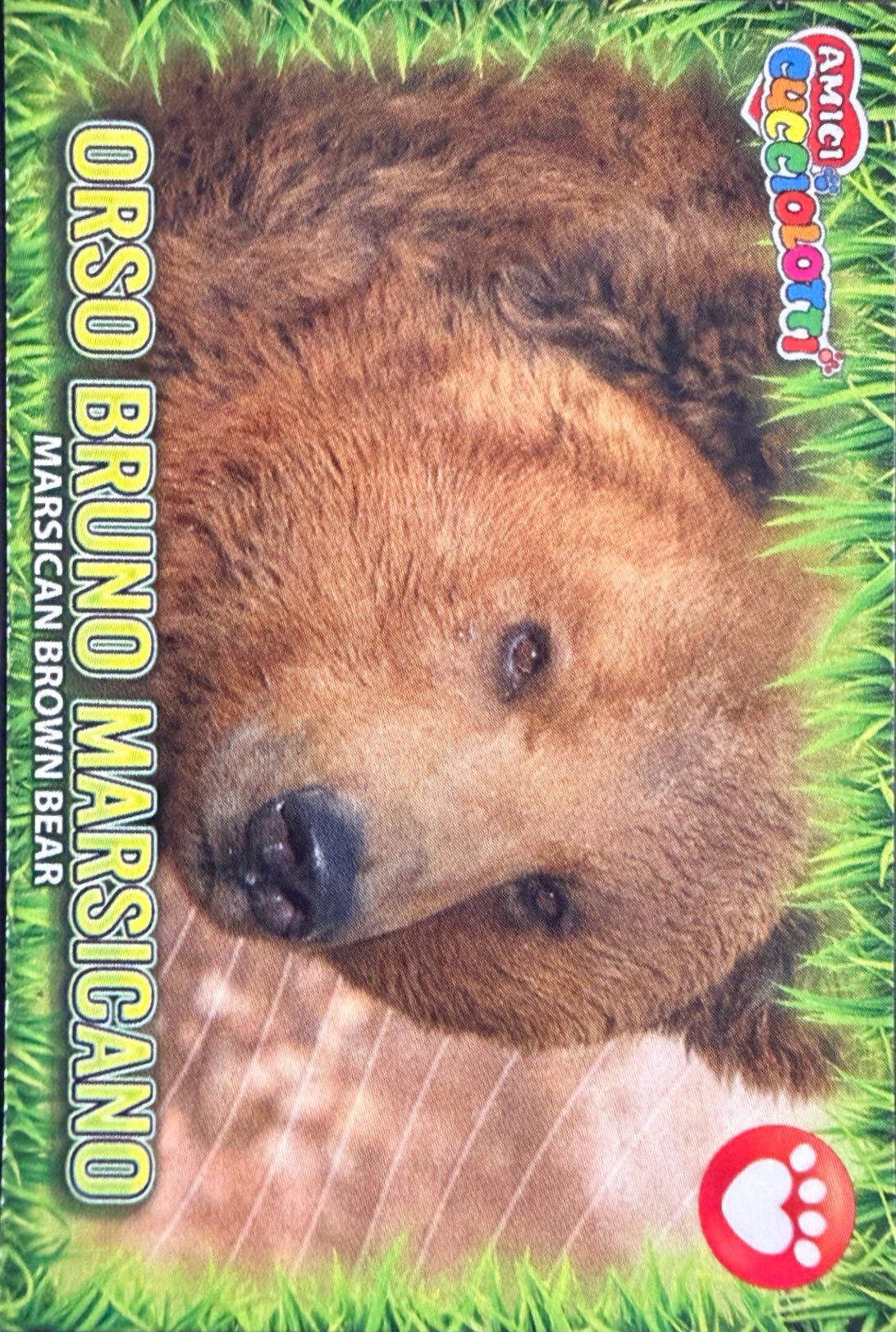 Amici Cucciolotti 2026 Pizzardi Editore - Figurine a Scelta 1-250