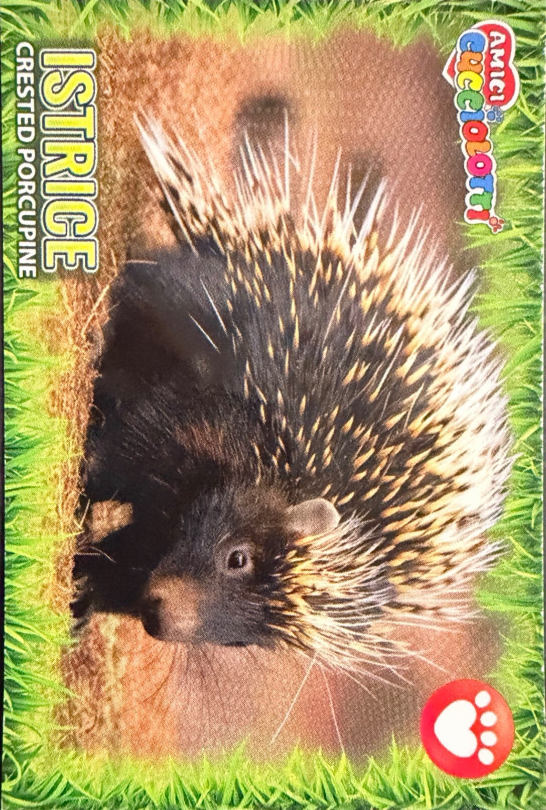 Amici Cucciolotti 2026 Pizzardi Editore - Figurine a Scelta 1-250