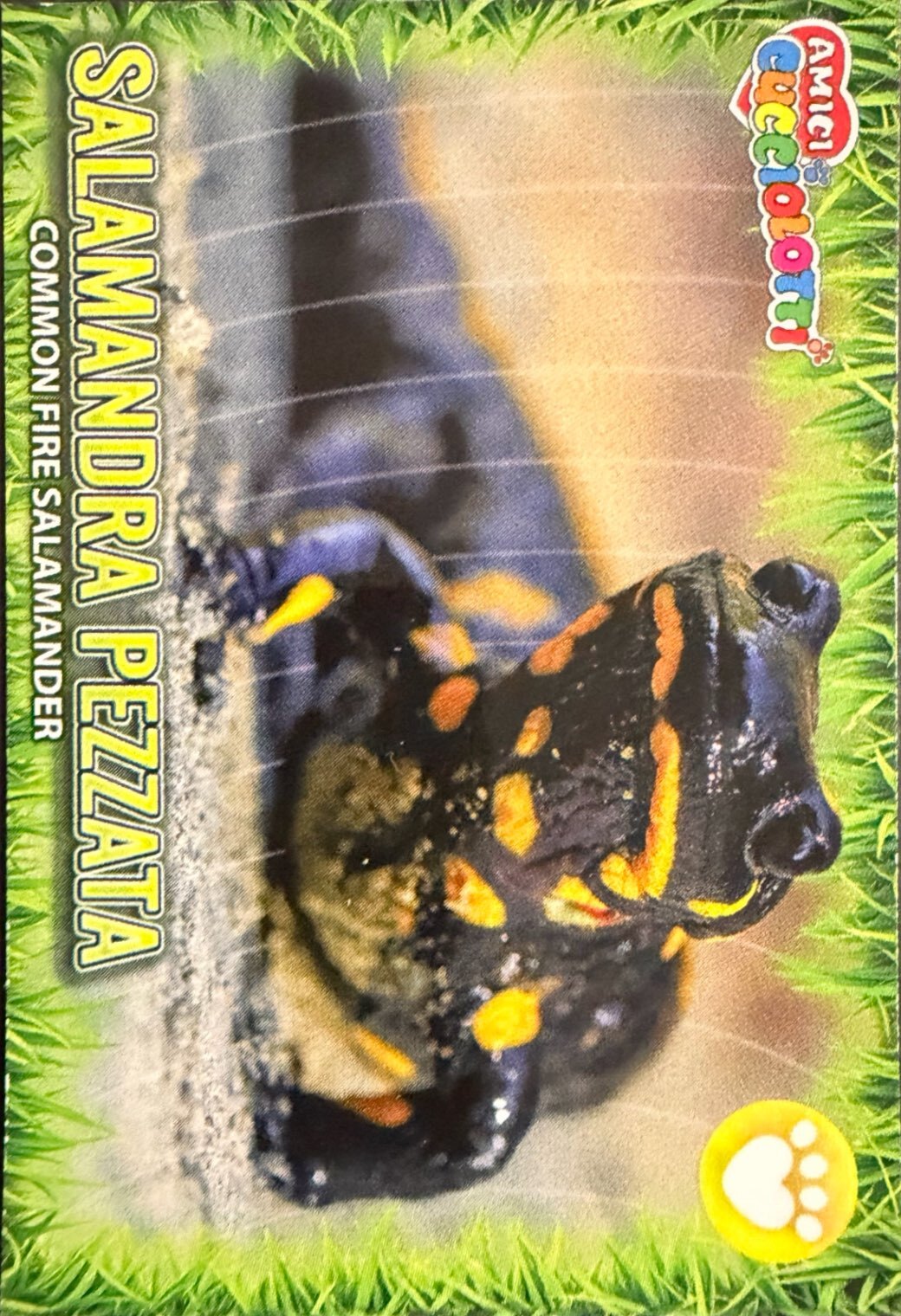 Amici Cucciolotti 2026 Pizzardi Editore - Figurine a Scelta 1-250