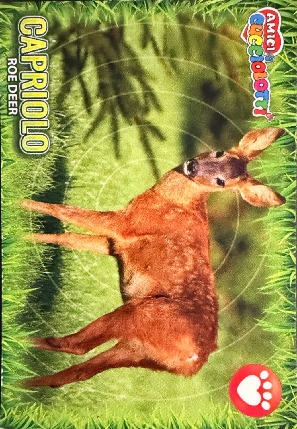 Amici Cucciolotti 2026 Pizzardi Editore - Figurine a Scelta 1-250