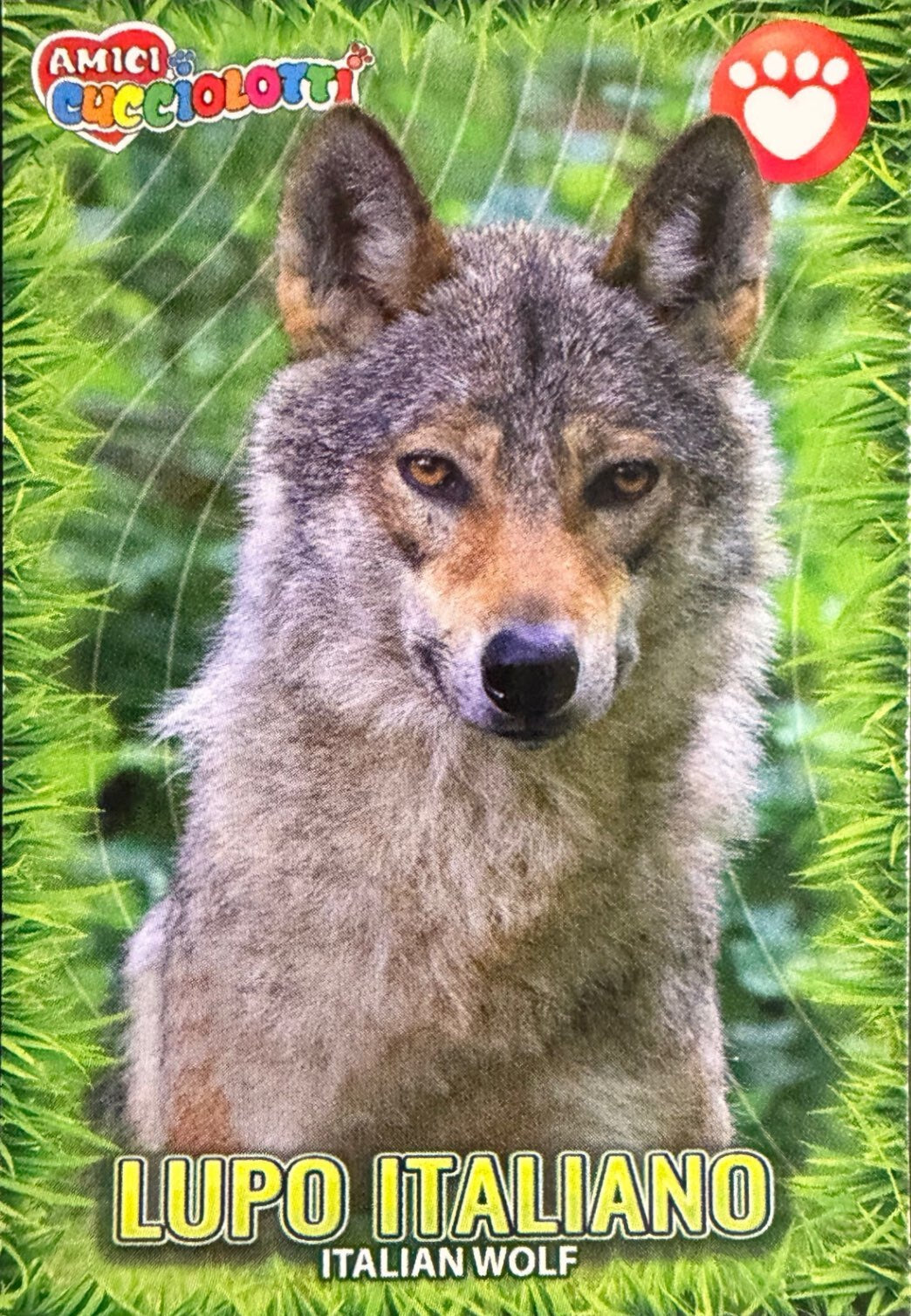 Amici Cucciolotti 2026 Pizzardi Editore - Figurine a Scelta 1-250