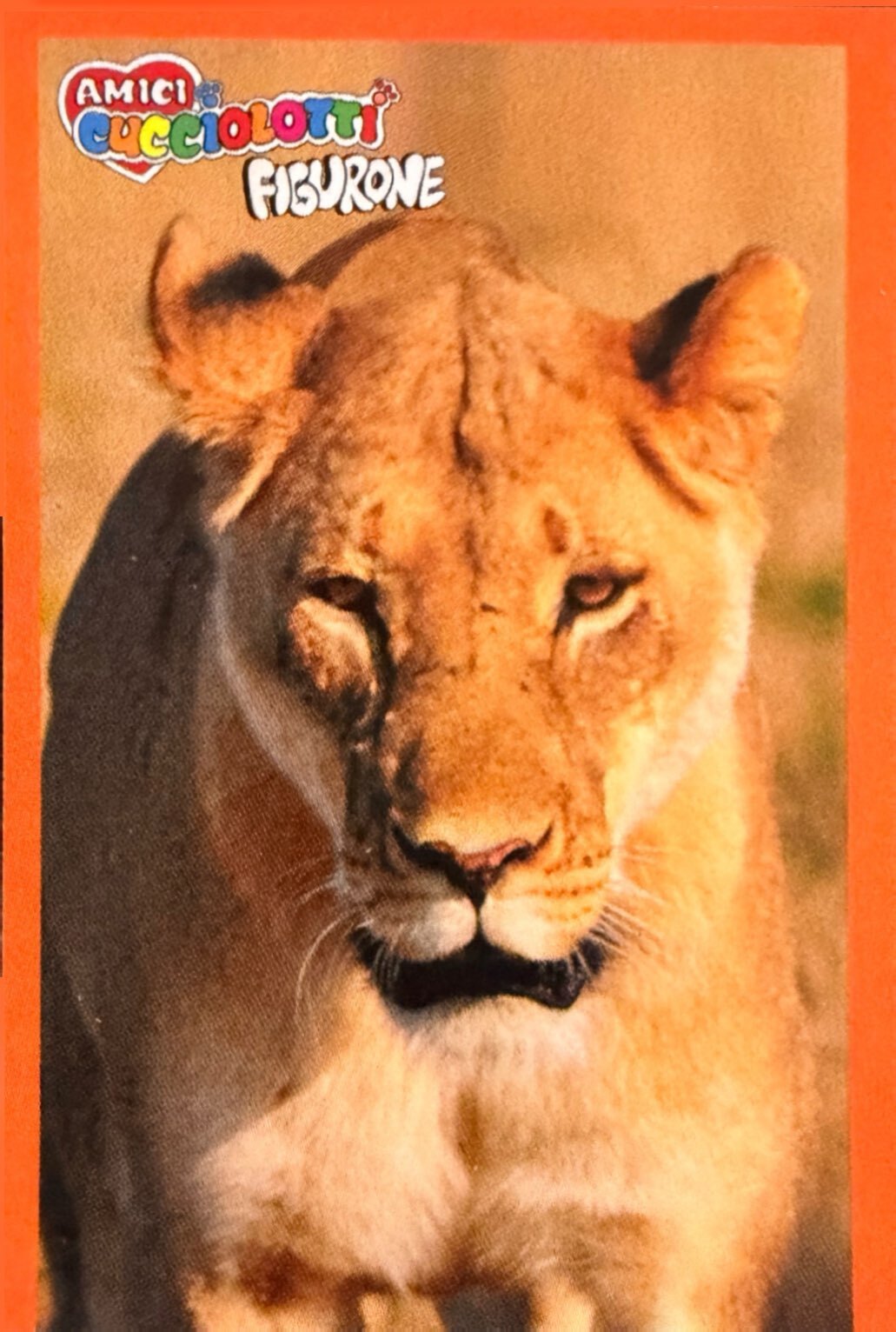 Amici Cucciolotti 2026 Pizzardi Editore - Figurine a Scelta 1-250