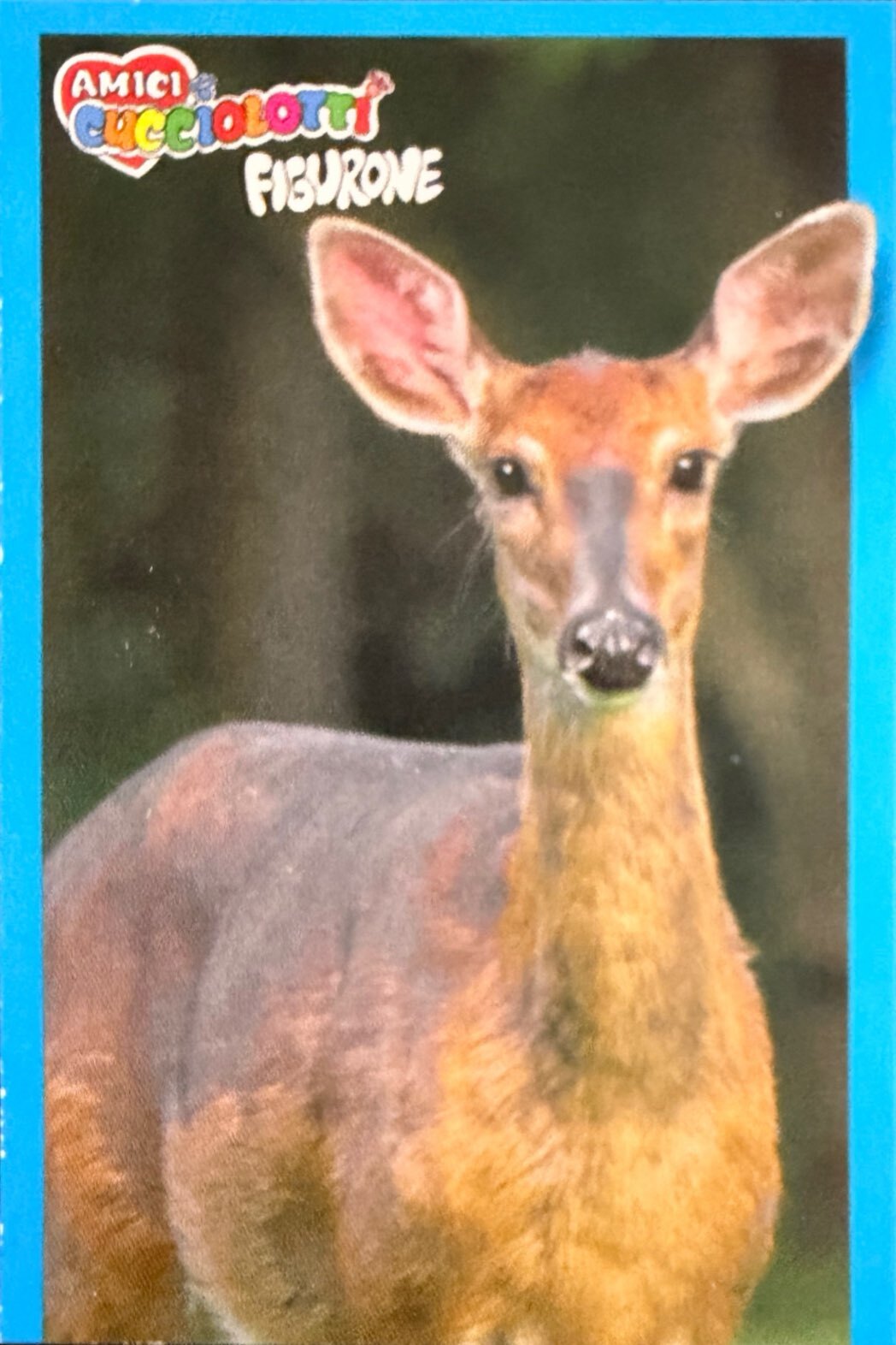 Amici Cucciolotti 2026 Pizzardi Editore - Figurine a Scelta 1-250