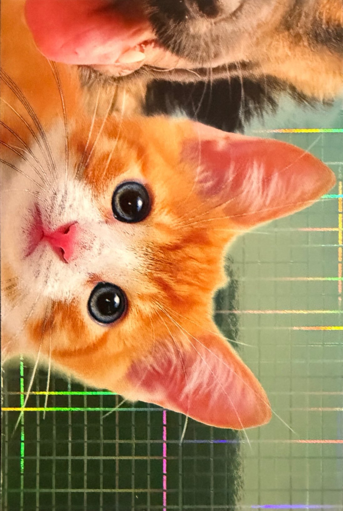 Amici Cucciolotti 2026 Pizzardi Editore - Figurine a Scelta 1-250