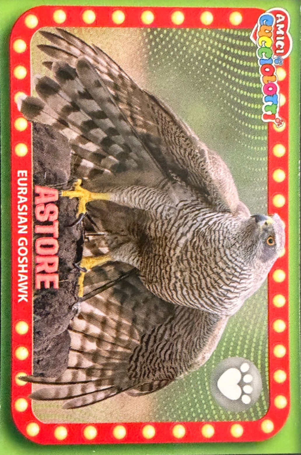 Amici Cucciolotti 2026 Pizzardi Editore - Figurine a Scelta 1-250